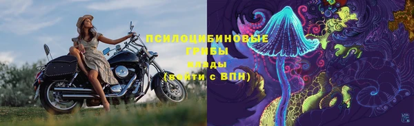 бошки Абдулино
